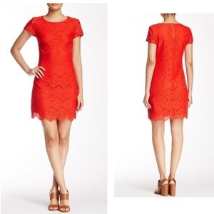 LAUNDRY SHELLI SEGAL Red Cap Sleeve Lace Dress 6